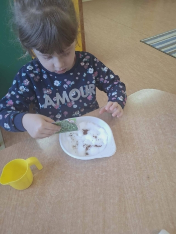 658807471_122150162198980716_2755449096074578495_n