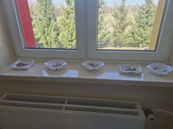 655297704_122150161892980716_6920517563245770995_n